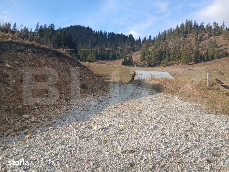 Teren intravilan in Dorna Arini, 1.25 ha, bonus 20 ari teren extravila
