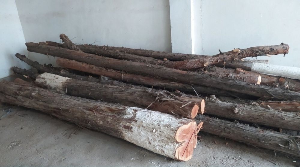 Кругляк продается