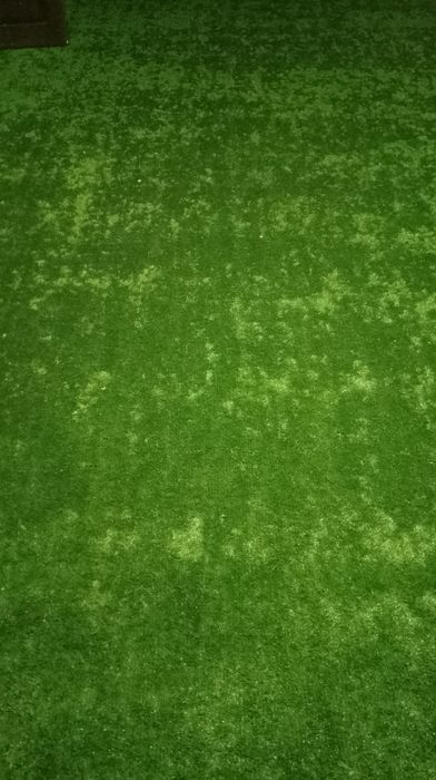 Газон холати янги