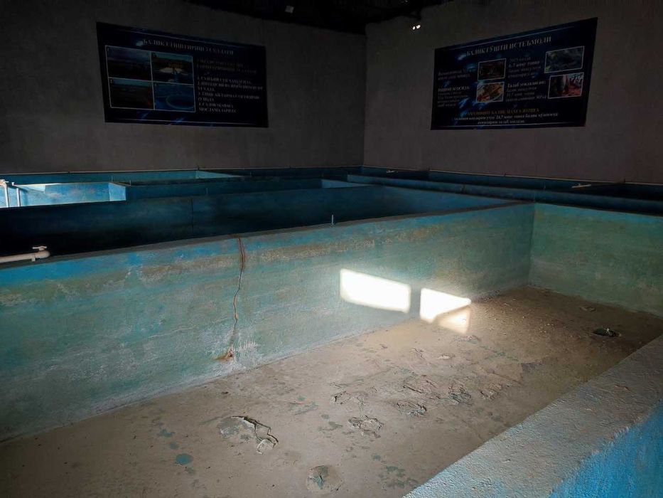 Nasilchilikka ixtisoslashtirilgan quyonchilik bino-inshoatlari