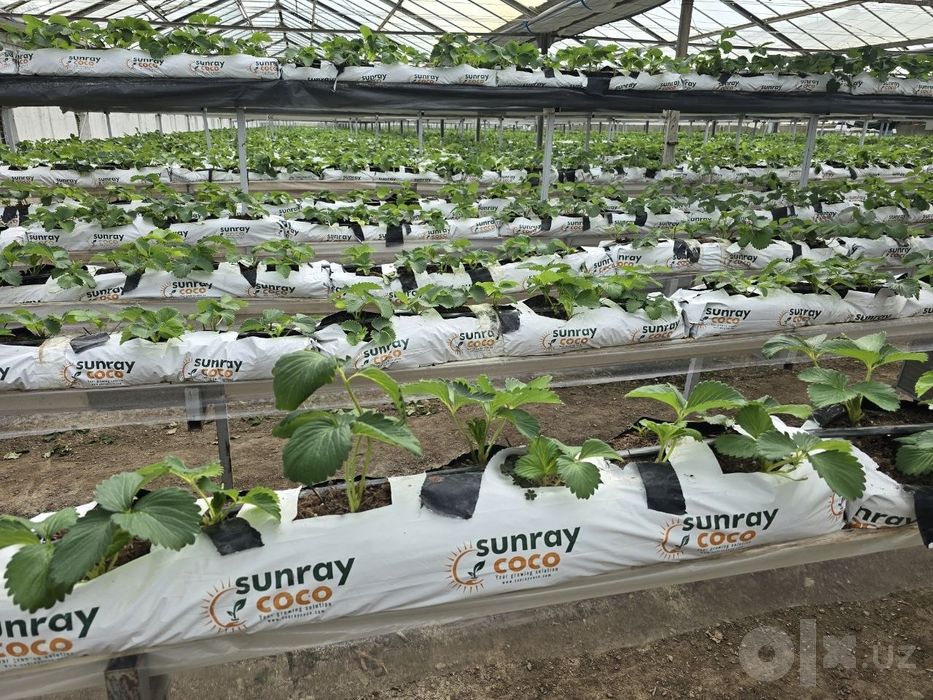 Кокосовый субстрат в матах "Sunray Coco"  (Шри  Ланка)