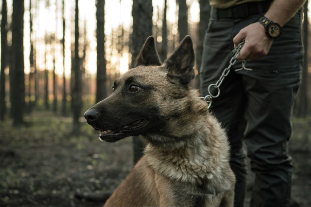 Фотограф в Бургас
