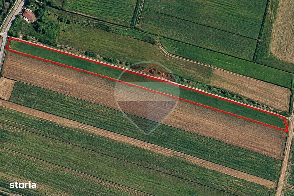 Teren 14.000 Strada Campurilor