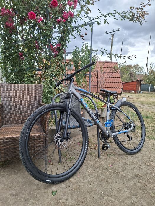 Carpat invictus hardtail