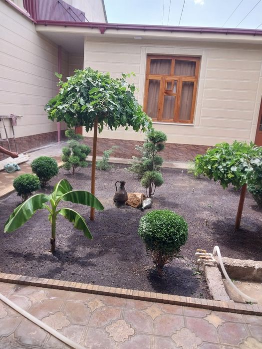 Gazon ekish lanshaftni dizayin asosida ekish respublika boʻylaf