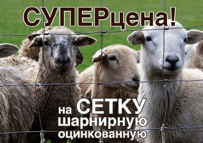 Шарнирная сетка для полей