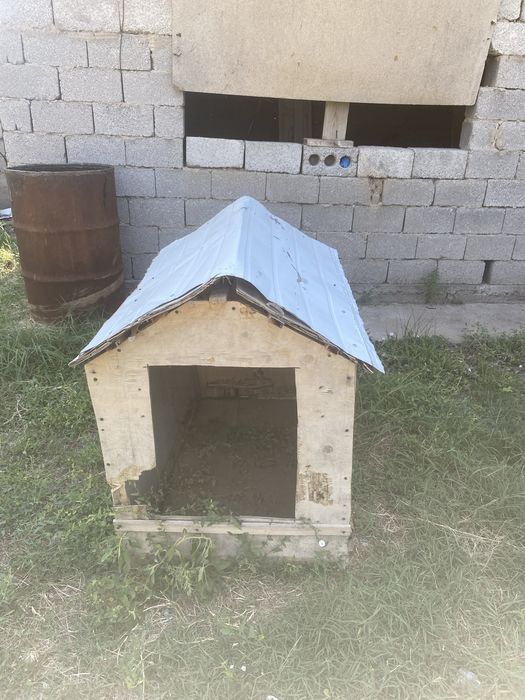 домик собака продается
