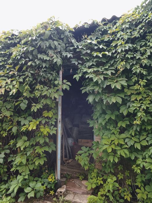Продажа дачного участка