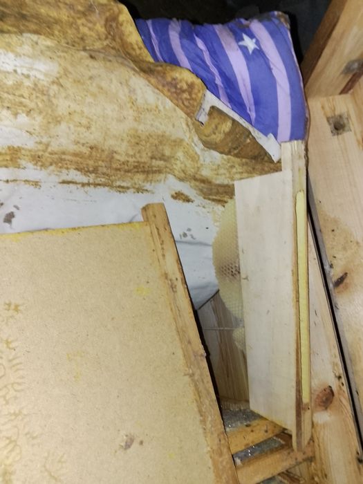 Уля для пчело. Пчеловодства