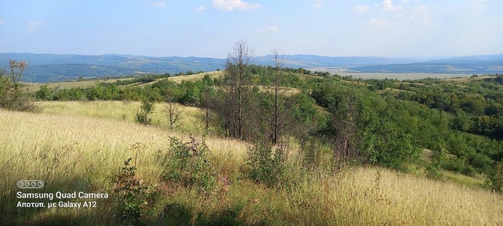 Vând teren  Podenii Noi, Magura