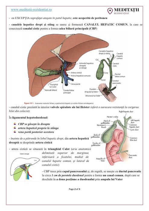 Materiale rezidențiat medicină