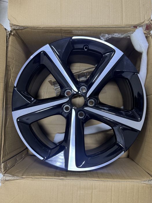 19 dizka 5 ta rezbali kovanniy