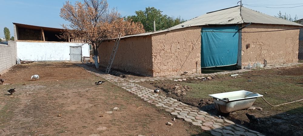 Ферма  арендага берилади мол, паранда, куй бокиш учун хамм