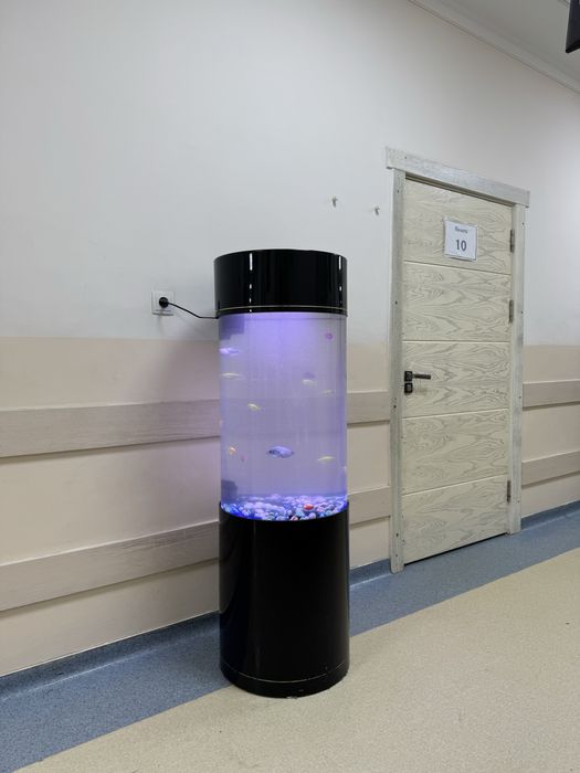 Чистка аквариума | Vaqt va asabingizni tejang!” AQUAWORLD |