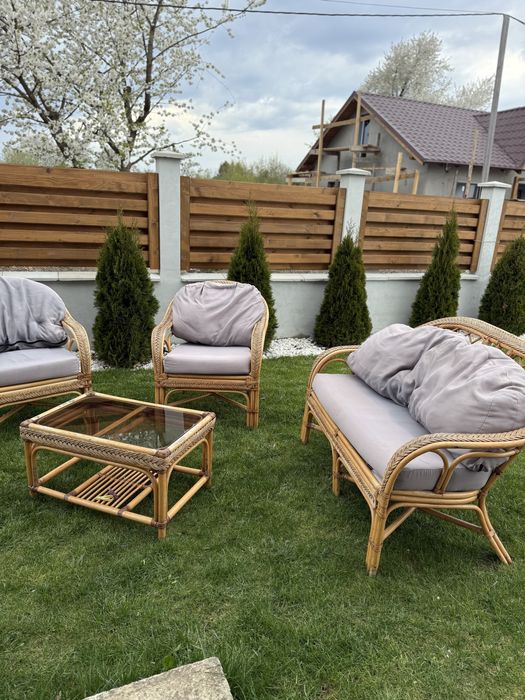 Set mobilier de grădină din ratan