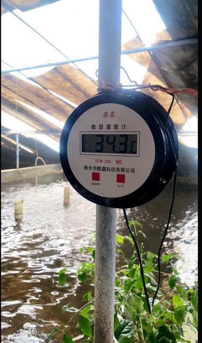 Цифровой термометр