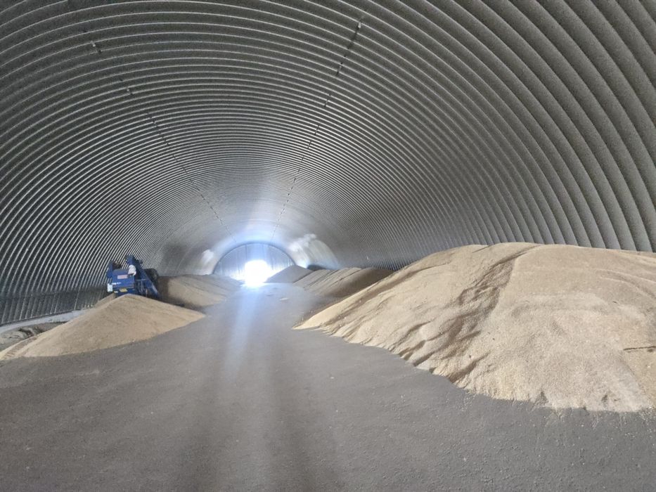 Продам ячмень, урожай 2026