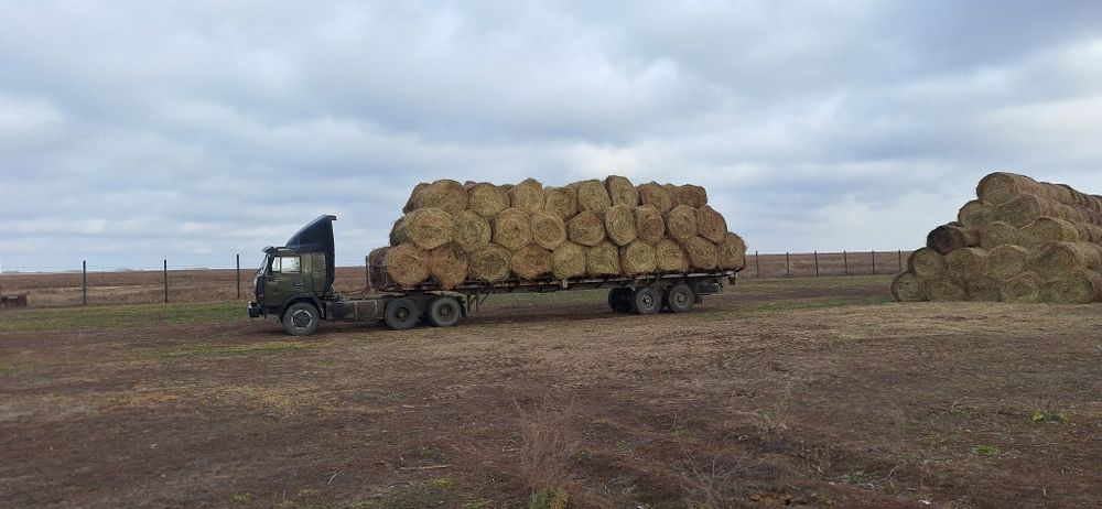 Продам сено разнотравие.