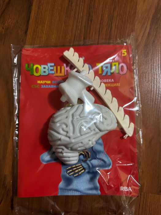 Човешкото тяло първите 5 броя