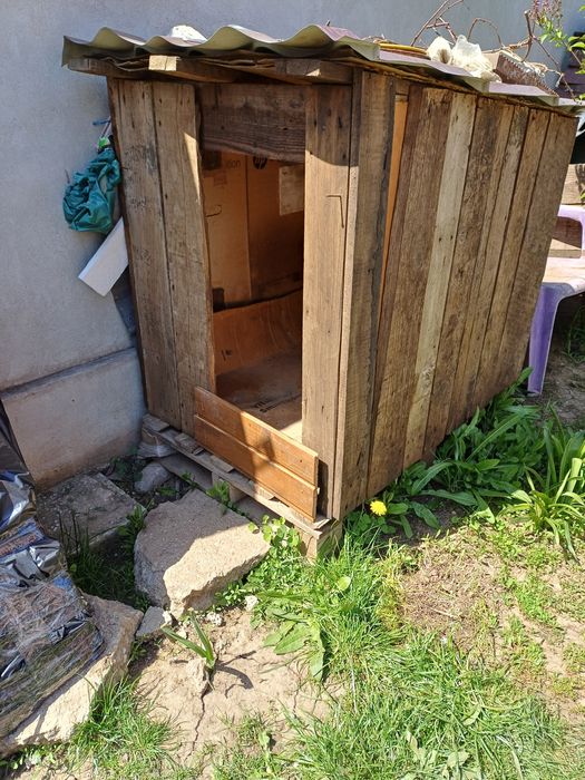 Cusca caine talie mijlocie