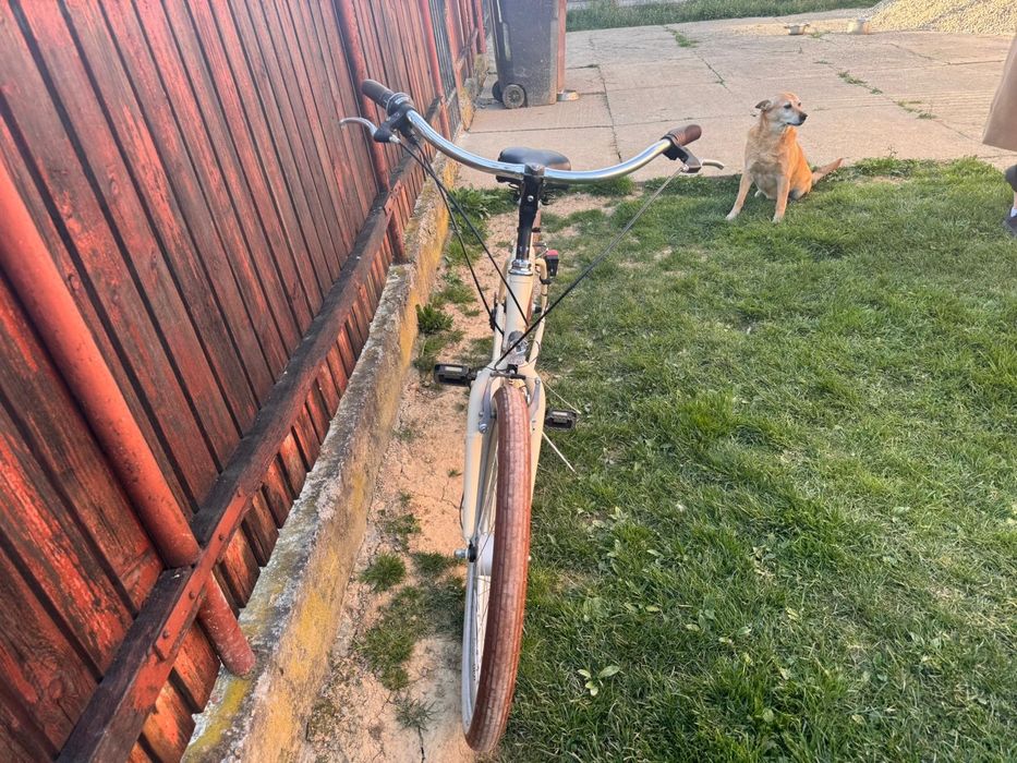 Bicicleta Aluminiu  Cruiser  Sun On the Beach