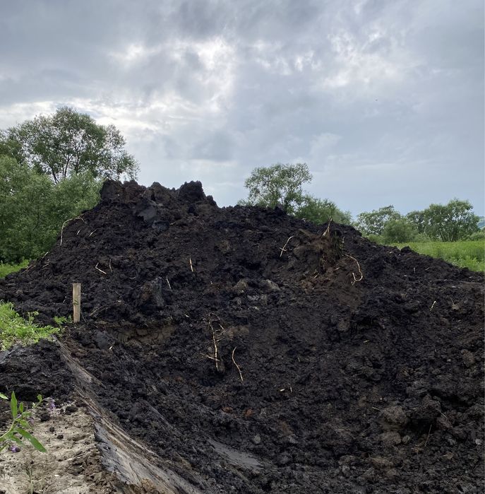 Pământ vegetal , pământ negru