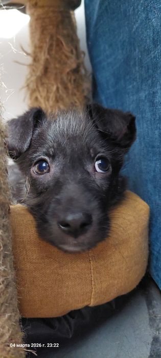 Классный пацан в поиске дома