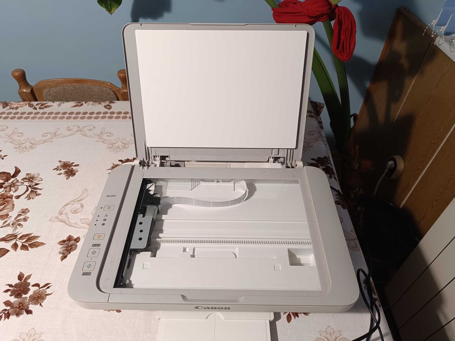 Мастилоструен принтер Canon MG2450