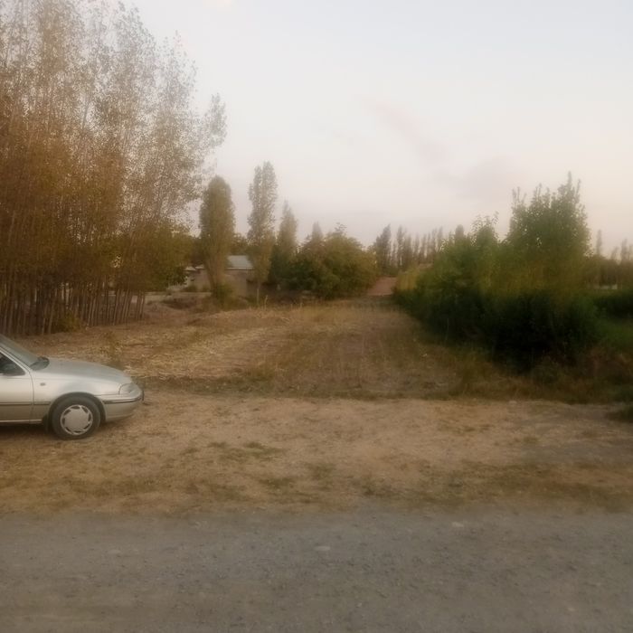 Йер сотилади, жомбойда 20 сутик