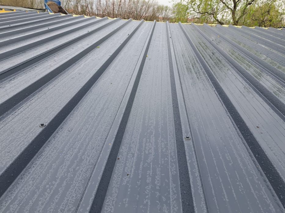 PANOU Sandwich Discount la peste 500 mp