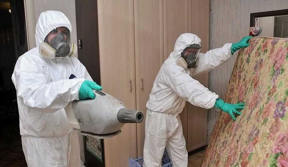 Дезинфекция клапа клоп таракан крыс Dezinfeksiya dezenfeksiya