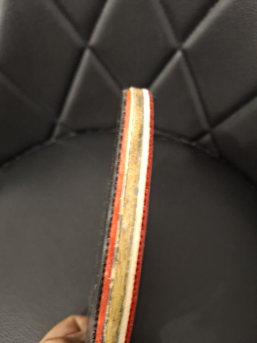 Paleta Butterfly Zhang Jike ALC ( Dignis 09C + YASAKA Rakza 7 )