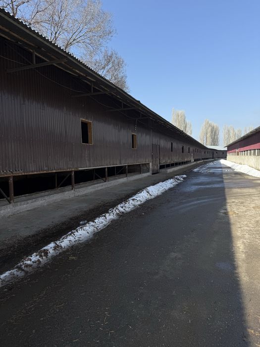 Продается база.