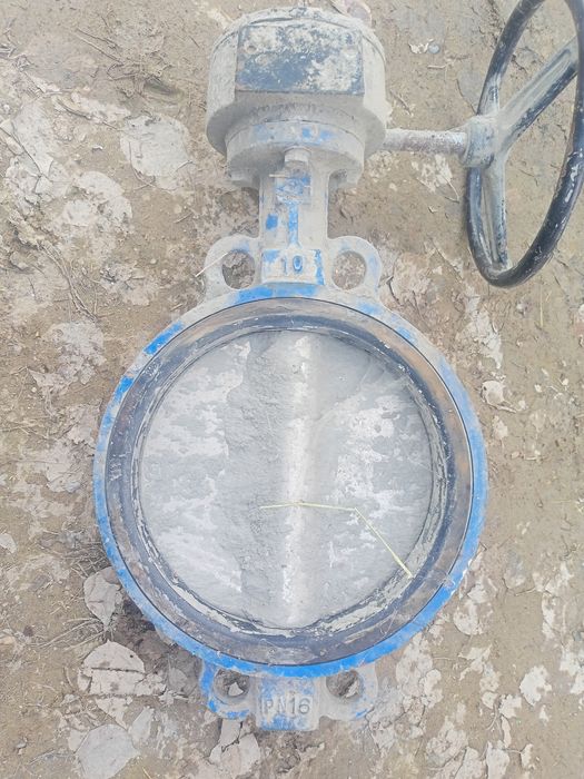 Затвор дисковый Dn250