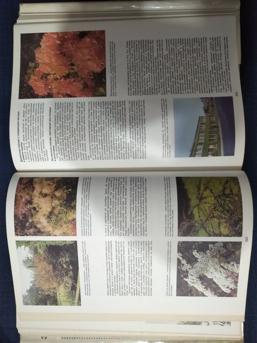 Энциклопедия садовода