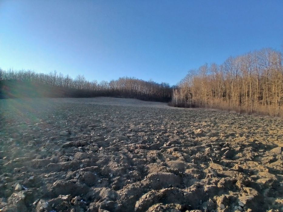 Teren  intravilan cu TITLU DE PĂDURE