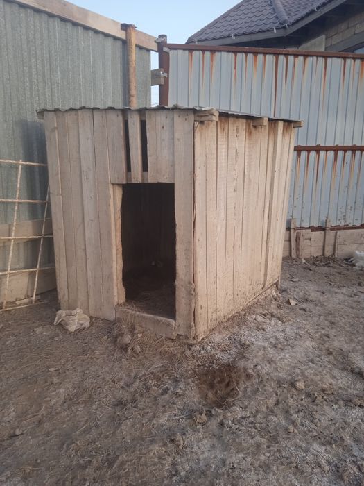 Собачья будка, отдам