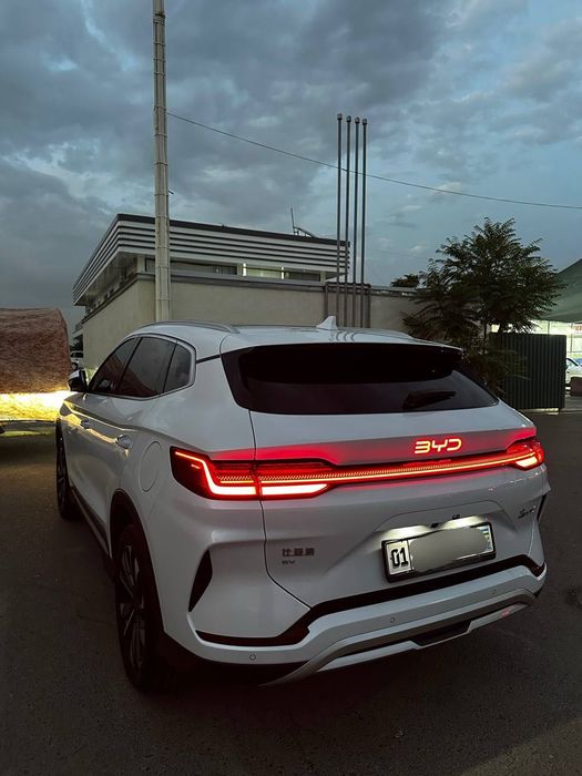 BYD Chempion Restaling