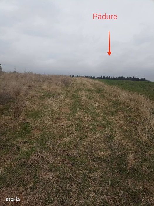 De vânzare teren intravilan în Lacul Reci