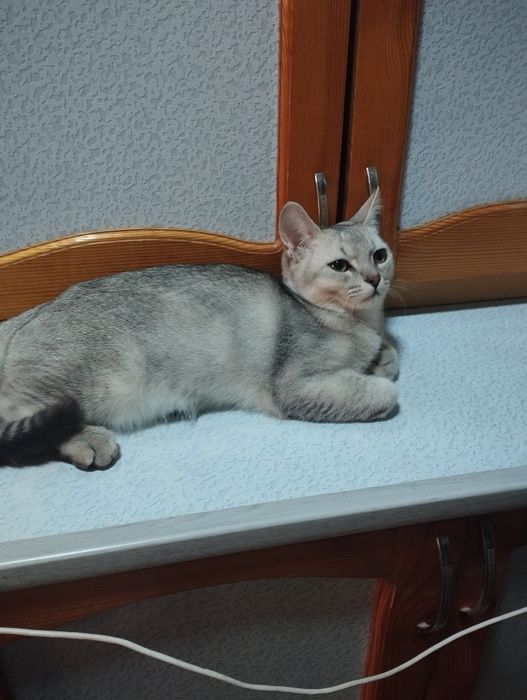 Slavyansk-na-Kubanda pornografik eshak jojani ipsiz sikmoqda.