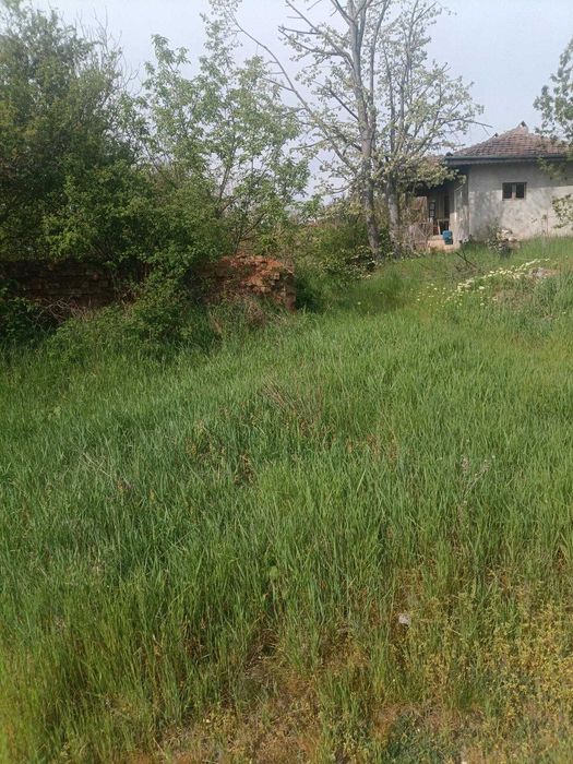 Продава се Парцел в с. Малък Поровец, Област Разград - 2711 кв.м за 9 €/кв.м - Снимка #6