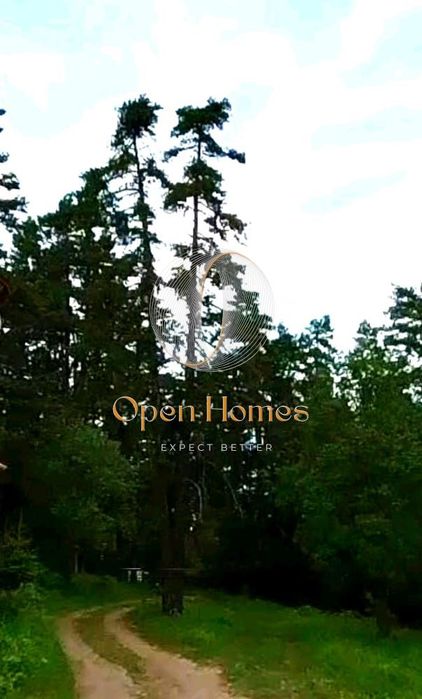 Продава се Парцел в Куклен - 4009 кв.м за 30 €/кв.м - Снимка #3