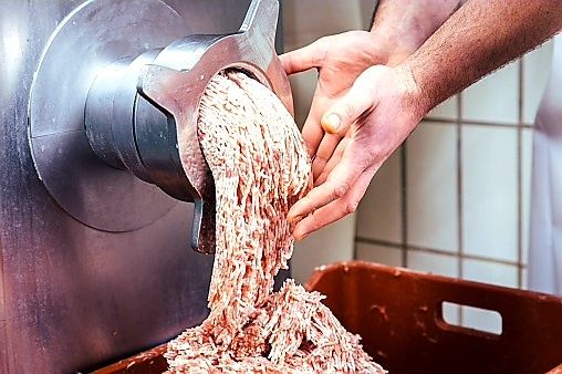 Натуральная еда для ваших животных!