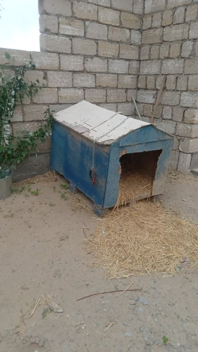 Домик для собакк