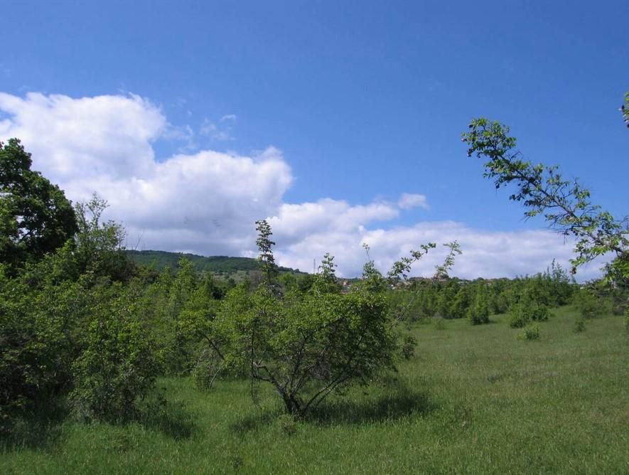 Продава се Парцел в Бургас, Център - 783 кв.м за 40 €/кв.м - Снимка #3