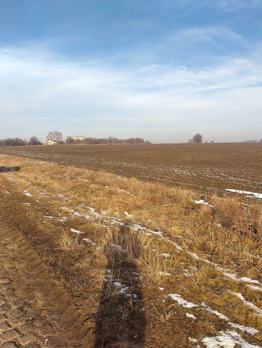 Продава се Парцел в Банкя - 3400 кв.м за 27 €/кв.м - Снимка #2