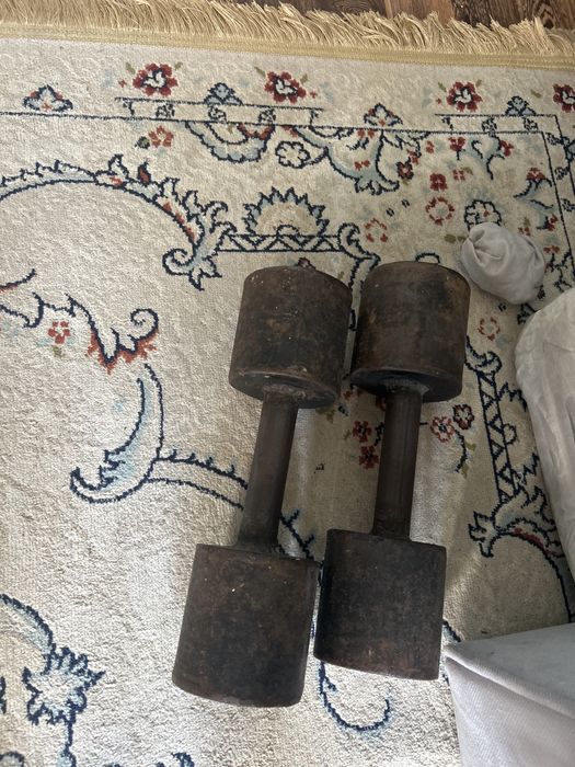 Гантели по 12 кг продам срочно