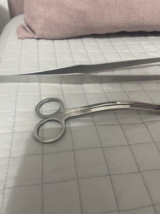 Ustensile pesti acvariu plante