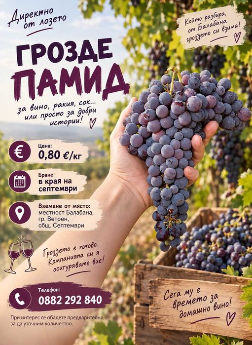 Продавам грозде Памид