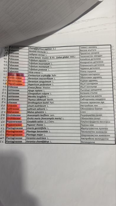 Хербарий по ботаника